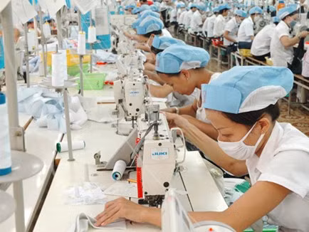 Ảnh minh họa. Nguồn: internet