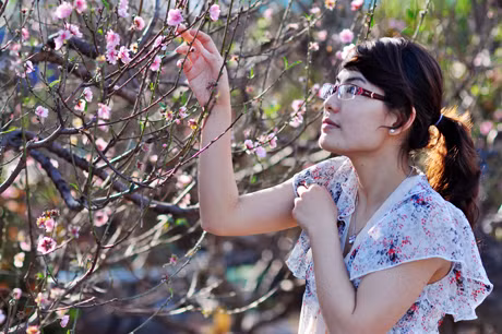 Dịu dàng với sắc đỏ hồng của hoa đào