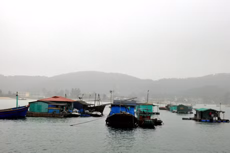 Cảng cá Chiến Thắng xã Thanh Lân (Cô Tô) đang được quy hoạch.