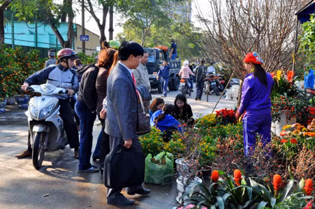 Tại mỗi gian hàng tập nập người dân tới chọn mua cho mình cây cảnh ứng ý