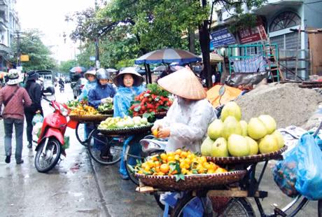 TP Hạ Long bây giờ ít gánh hàng rong mà thay vào đó là xe đạp rong.