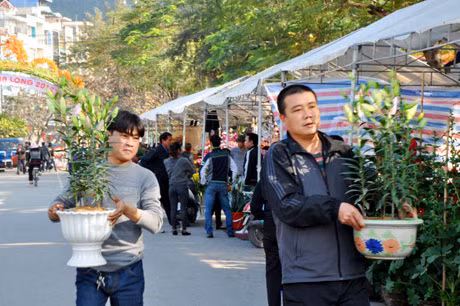 Mội khách tham quan đều mang về cho gia đình những chậu cây cảnh tươi sắc 