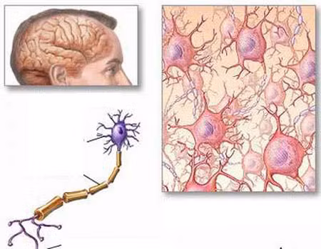 Nhóm thuốc ức chế cholinestarase