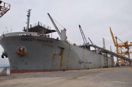 Tàu Forest Princess cập Cảng Cái Lân lấy hàng dăm gỗ đi Nhật Bản.