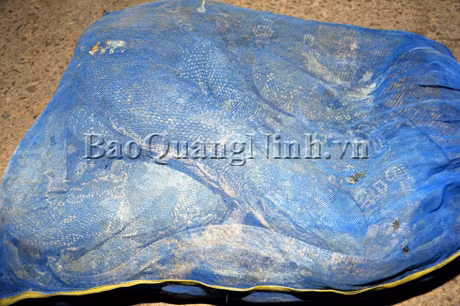 Trong đó, có 2.350 kg rắn Ráo, 2.100 rắn Hổ Mang, 1.554 kg Kỳ Đà.