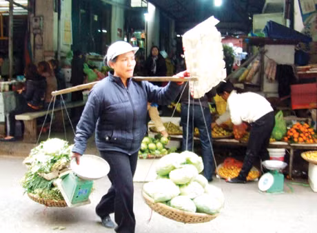 Những gánh hàng rong tảo tần len lỏi nơi phố thị Hạ Long.