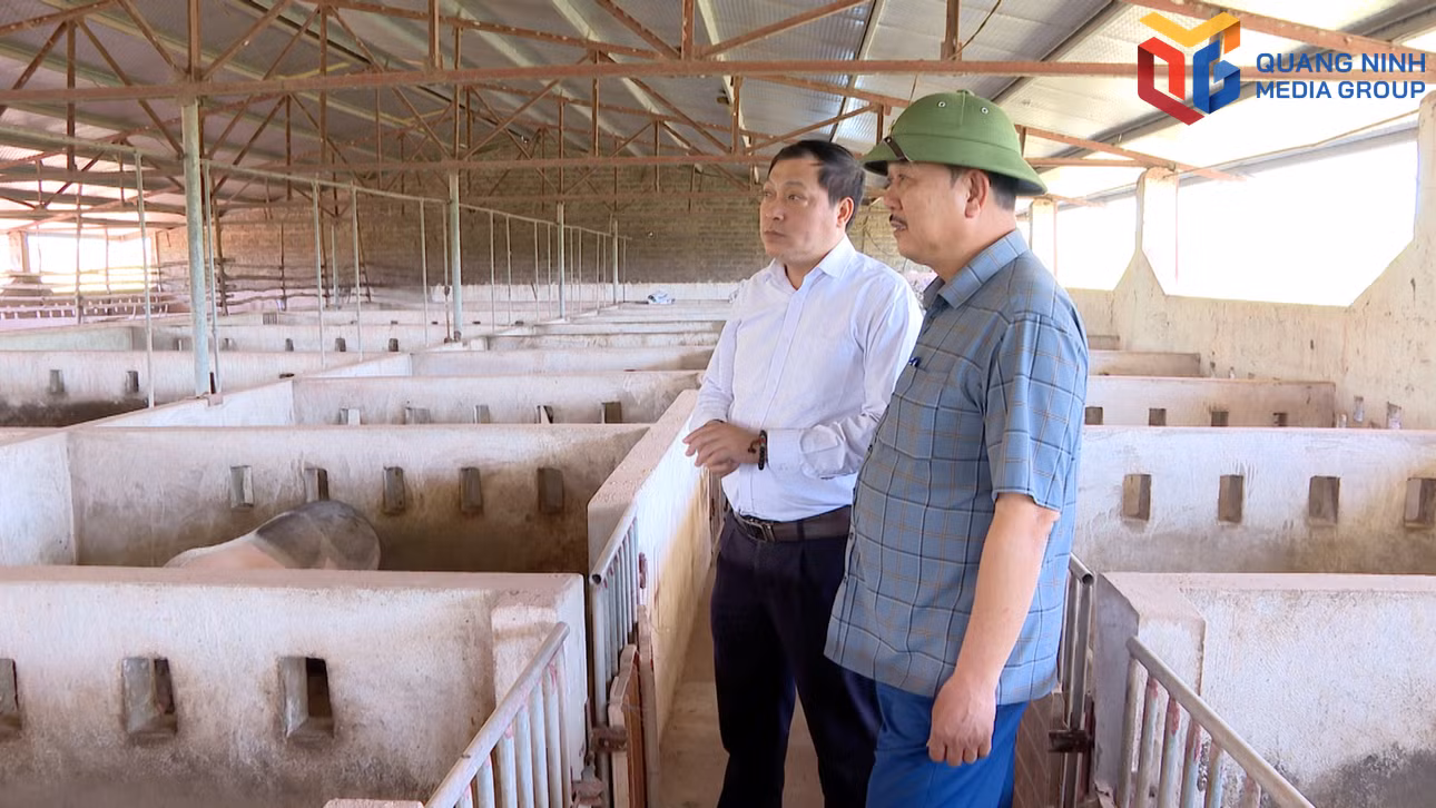bqn_tr_hai-ha-nong-nghiep-quang-ninh00-07-30-13still011.jpg