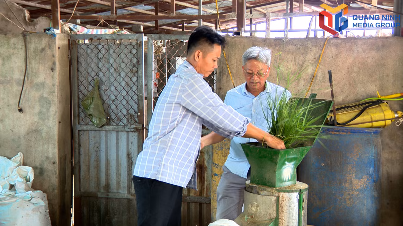 bqn_tr_hai-ha-ong-giang-huong-dan-anh-doan-van-hoang-su-dung-may-che-bien-thuc-an-chan-nuoi-da-nang-00-10-09-10still002.jpg
