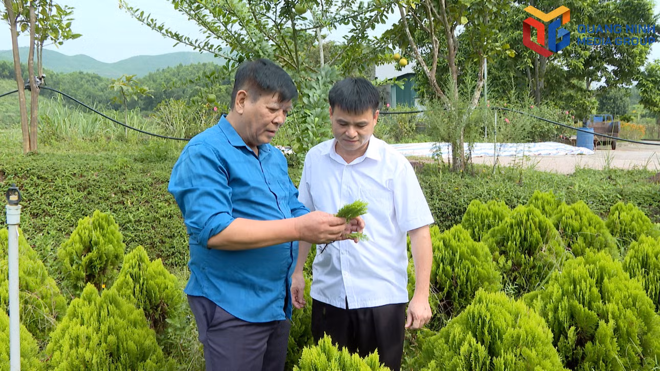 bqn_tr_hai-ha-nong-dan-gioi00-21-03-11still010.jpg