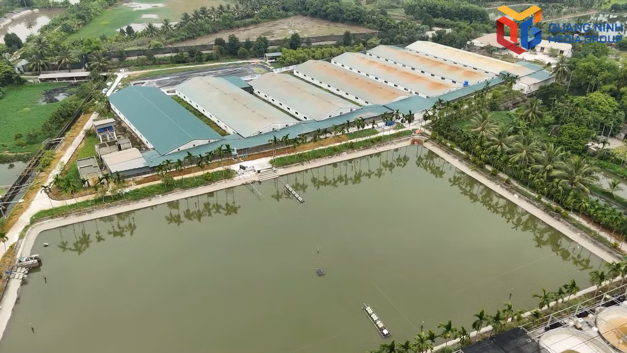 bqn_tr_hai-ha-ton-vinh-63-nong-dan-quang-ninh-xuat-sac-nam-202600-06-11-21still005.jpg