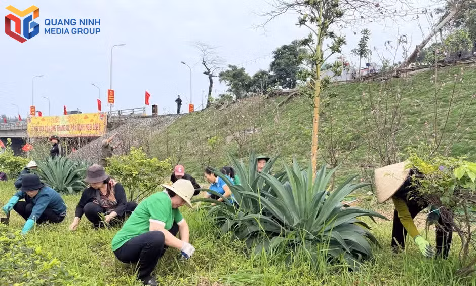 Thi đua tạo động lực xây dựng thành phố Quảng Ninh giàu mạnh, văn minh