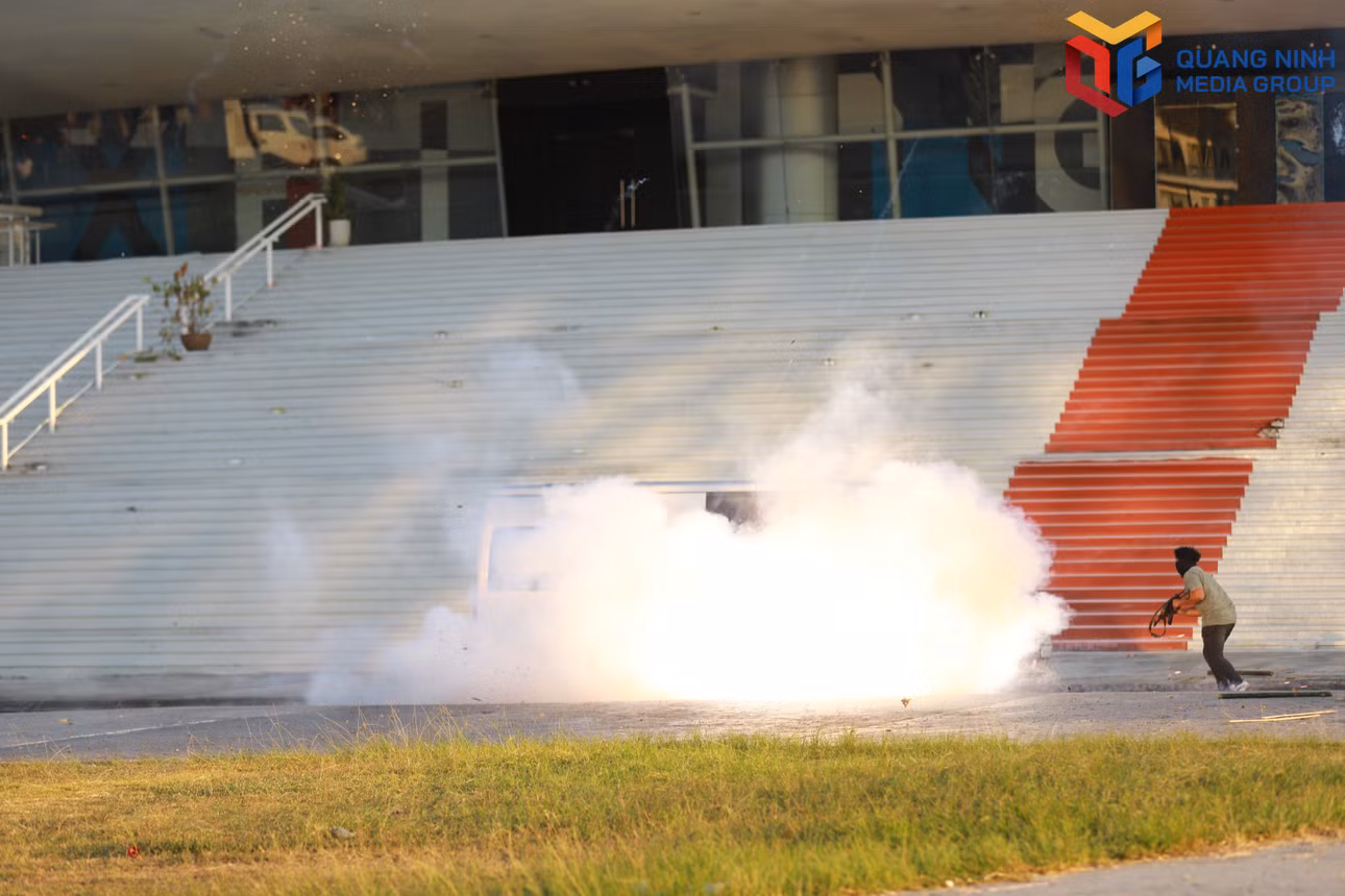 bqn_tr_dmh-3777.jpg