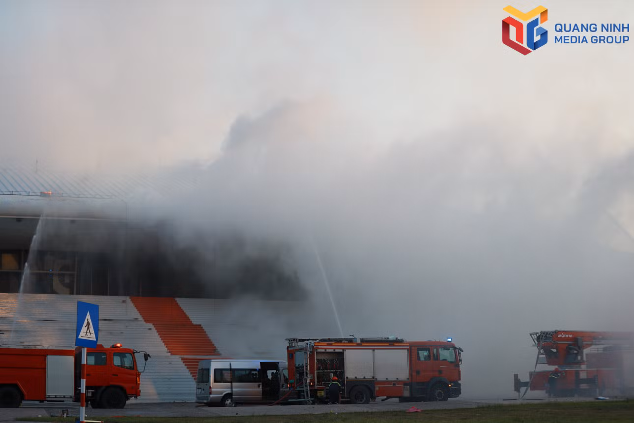 bqn_tr_dmh-4279.jpg