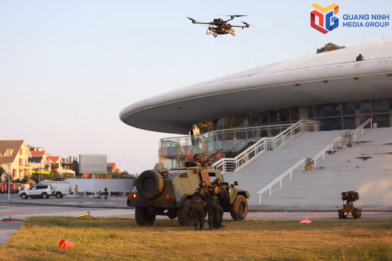 bqn_tr_dmh-4119.jpg
