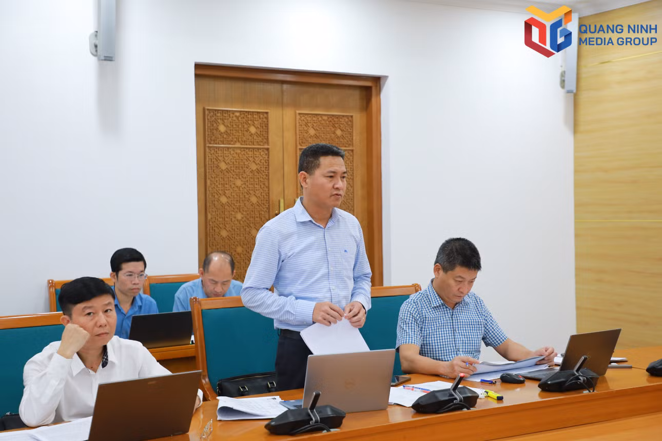 bqn_tr_dmh-6934.jpg