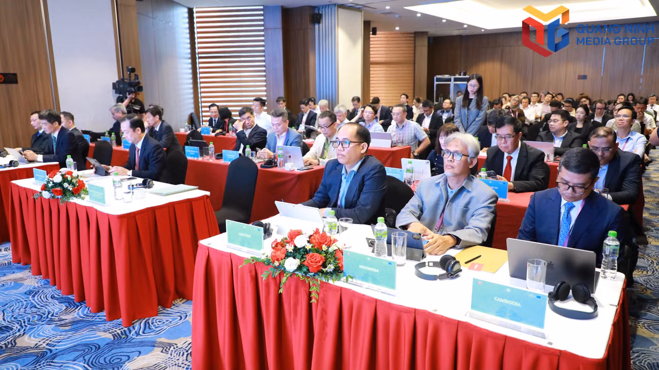 bqn_tr_dmh-7463.jpg