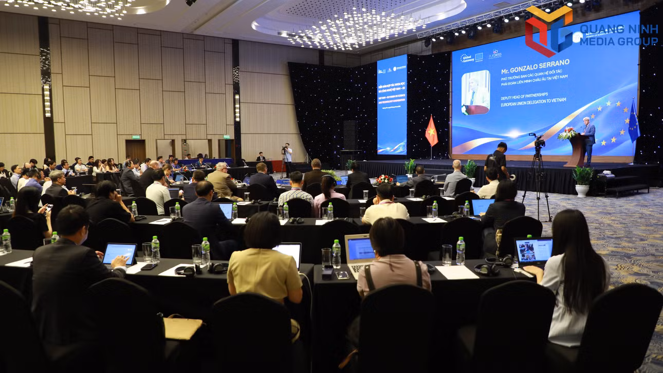 bqn_tr_dmh-7442.jpg