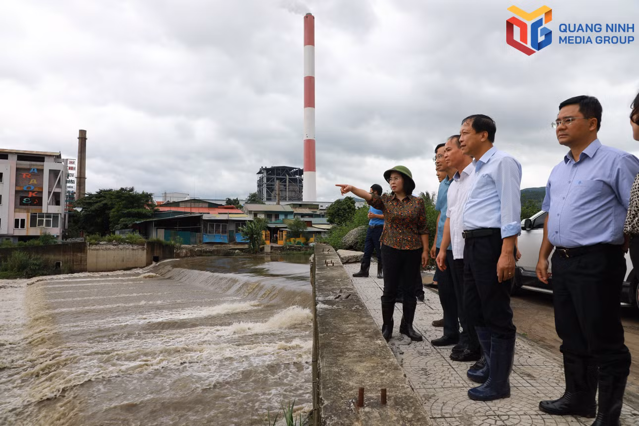 bqn_tr_dmh-7104.jpg
