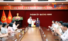 Công bố quyết định của Ban Thường vụ Thành ủy về công tác cán bộ