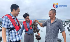 Tạo dư địa mới cho tăng trưởng nông nghiệp