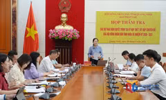 Ban Pháp chế HĐND tỉnh thẩm tra các dự thảo nghị quyết trình Kỳ họp thứ 7 HĐND tỉnh