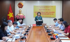 Ban Văn hóa – Xã hội HĐND tỉnh thẩm tra dự thảo nghị quyết trình kỳ họp thứ 7 HĐND tỉnh