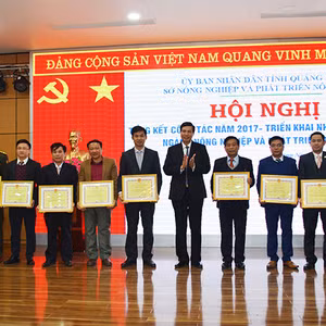 Bản tin thời sự Radio Quảng Ninh 24 giờ, ngày 24/12