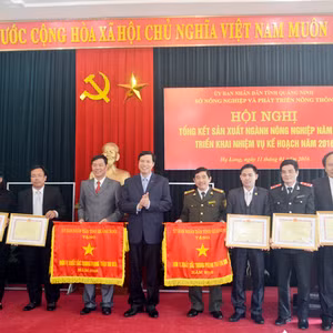 Bản tin thời sự Radio Quảng Ninh 24h, ngày 11/1
