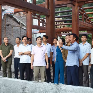 Bản tin thời sự tổng hợp Quảng Ninh, ngày 25/11