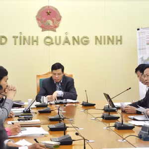 Bản tin thời sự Radio Quảng Ninh 24h, ngày 23/12