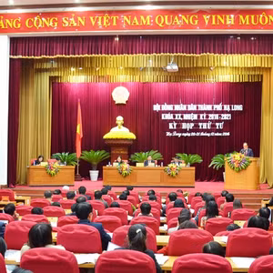 Bản tin thời sự tổng hợp Quảng Ninh, ngày 20/12