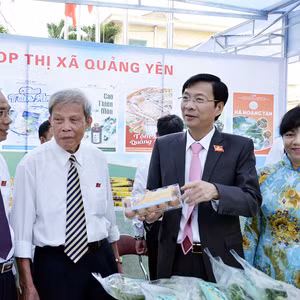 Bản tin thời sự Radio Quảng Ninh 24 giờ, ngày 21/7