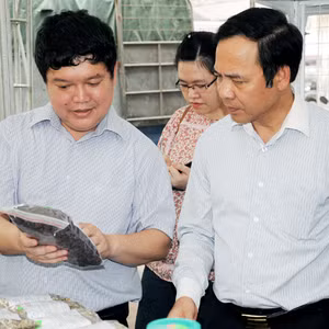 Bản tin thời sự Radio Quảng Ninh 24h, ngày 29/4