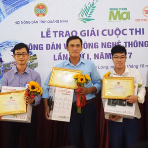 Bản tin thời sự Radio Quảng Ninh 24 giờ, ngày 29/10