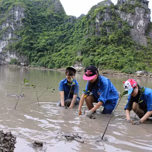 Bản tin thời sự Radio Quảng Ninh 24h, ngày 28/8