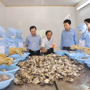 Bản tin thời sự tổng hợp Quảng Ninh, ngày 29/10