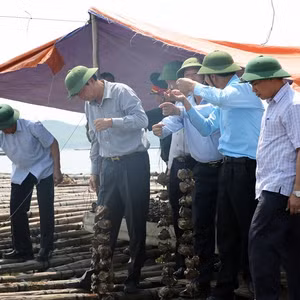 Bản tin thời sự tổng hợp Quảng Ninh, ngày 28/7