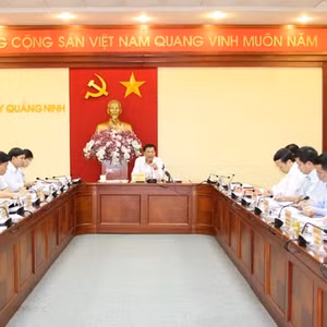 Bản tin thời sự tổng hợp Quảng Ninh, ngày 19/7