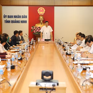 Bản tin thời sự tổng hợp Quảng Ninh, ngày 17/7