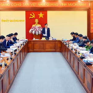 Bản tin thời sự tổng hợp Quảng Ninh, ngày 21/2