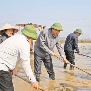 Bản tin thời sự tổng hợp Quảng Ninh, ngày 30/1
