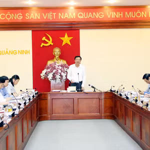 Bản tin thời sự tổng hợp Quảng Ninh, ngày 24/5