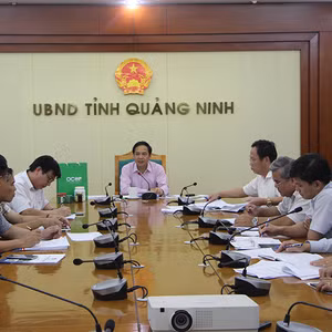 Bản tin thời sự Radio Quảng Ninh 24 giờ, ngày 30/8