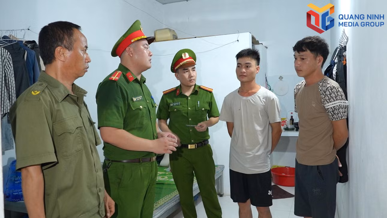 bqn_tr_dong-mai1.jpg
