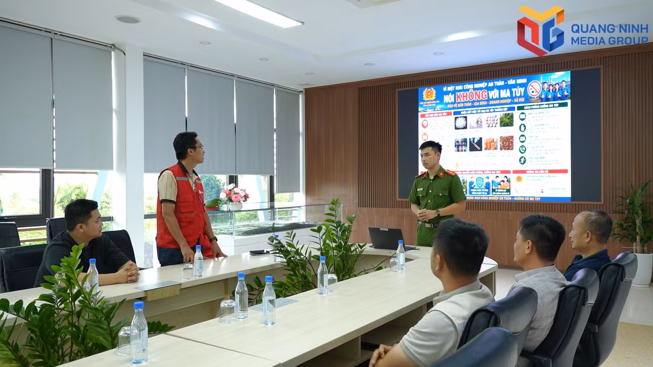 bqn_tr_dong-mai.jpg
