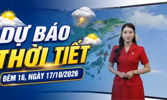 Dự báo thời tiết đêm 16/10, ngày 17/10/2026