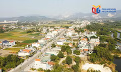 Sức bật từ cơ sở