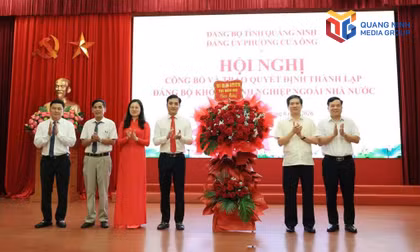 Quảng Ninh: Đưa Nghị quyết số 68-NQ/TW vào cuộc sống, khơi thông sức mạnh kinh tế tư nhân - Bài 2: Xây dựng tổ chức Đảng vững mạnh trong doanh nghiệp ngoài nhà nước