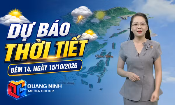 Dự báo thời tiết đêm 14, ngày 15/10/2026