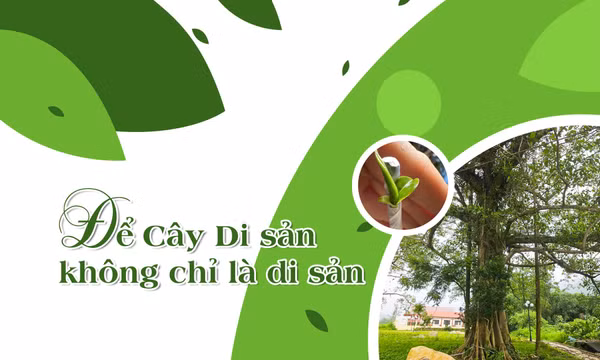 Vùng đất giàu tài nguyên